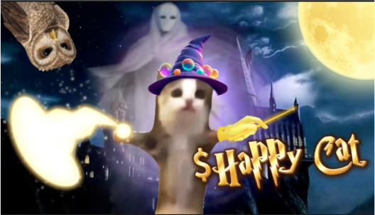cat1